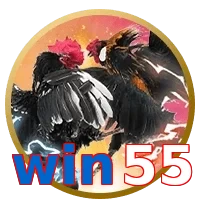 win55